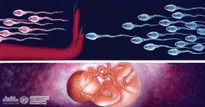 نقش ماورا در تعیین جنسیت؟